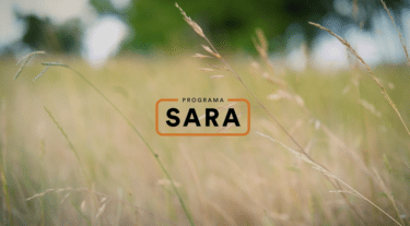 sara programme