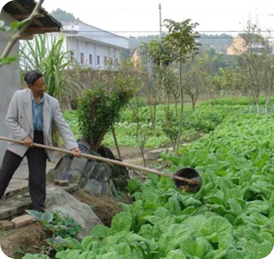 China Household Biogas Project household biogas project in china