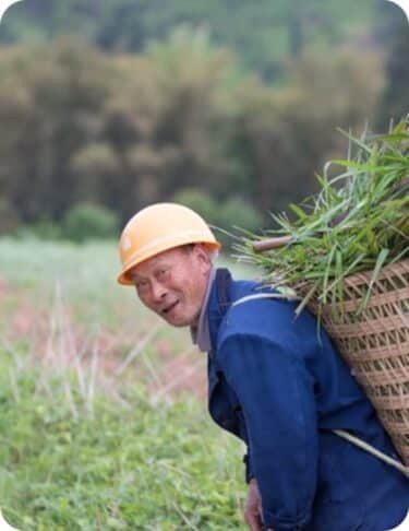 household biogas project in china