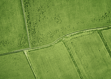 farm fields from above