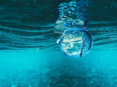 plastic in the ocean