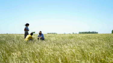 sara programme announcement