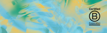 B Corp background