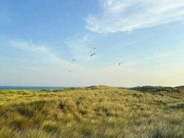 Coastal Nature Landscape