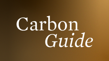 carbon guide