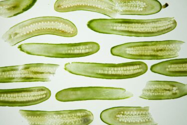 Produce food waste
