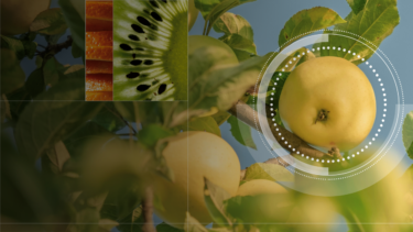 High-hanging fruit homepage banner