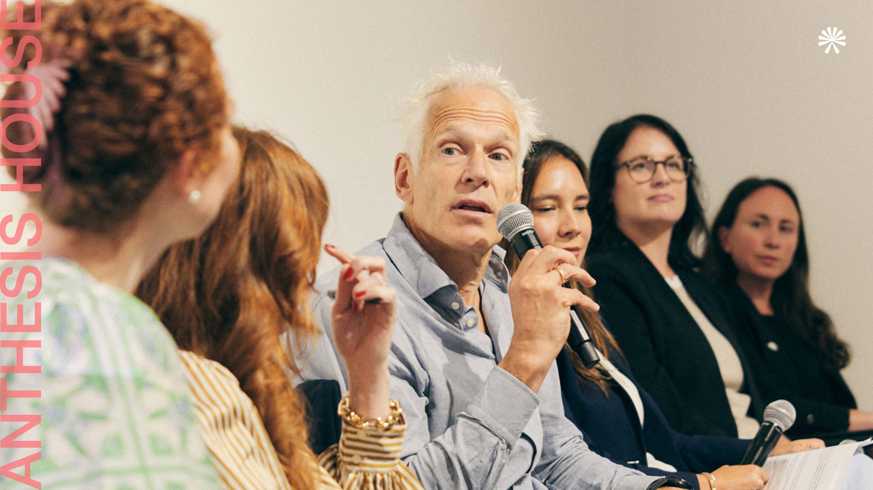 Panel speakers at Anthesis House