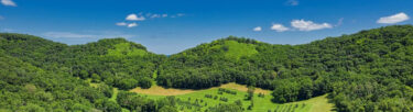 a farm surrounded by a forest