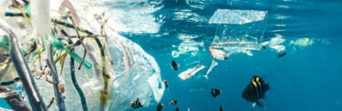 ocean plastic