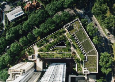 integrating nature into your business - anthesis