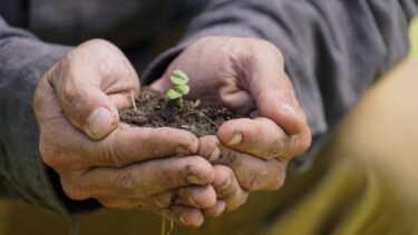 a person holding soil in their hands