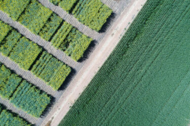 aerial view of farm fields in south africa